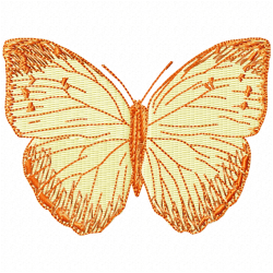 Butterfly Embroidery Design 8